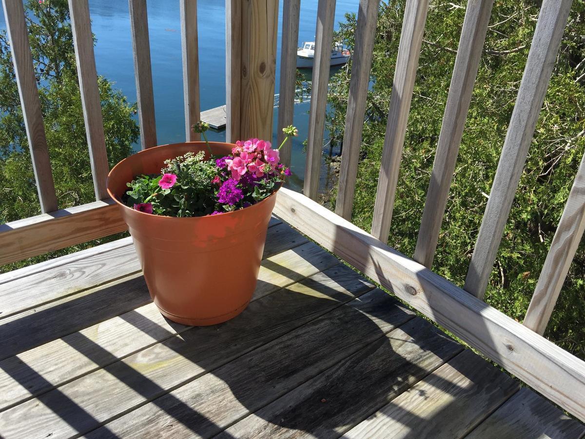 Quahog Bay Inn Harpswell Buitenkant foto